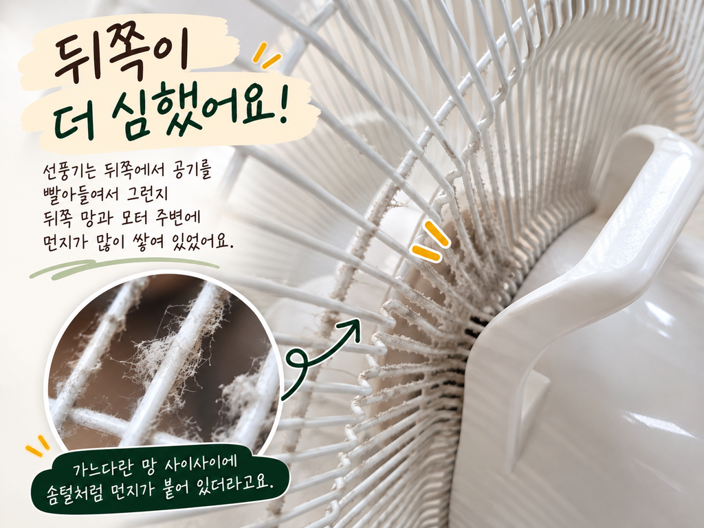 뒤쪽 망에 붙은 먼지